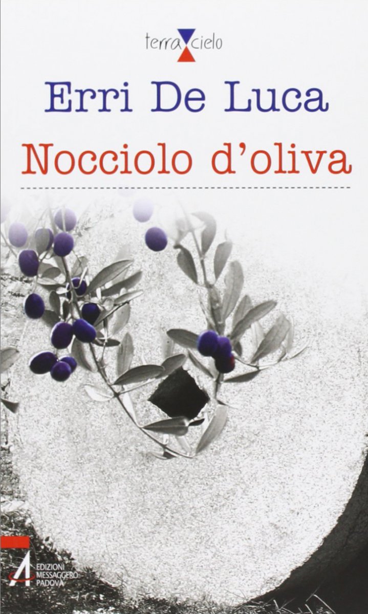 Nocciolo d'oliva